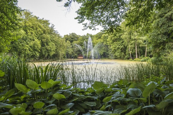 Kurpark, Irlacher Weiher