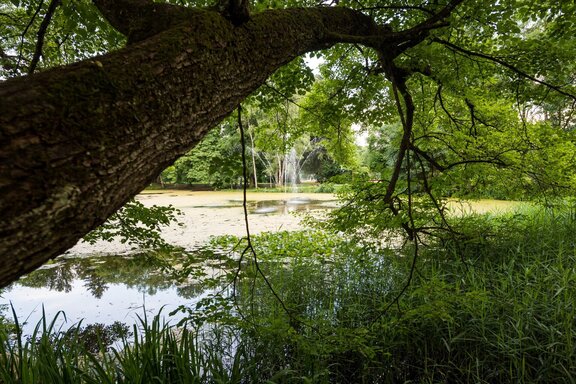 Kurpark, Irlacher Weiher