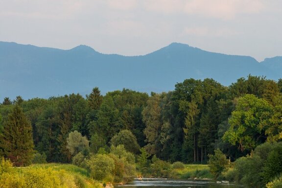 Panorma